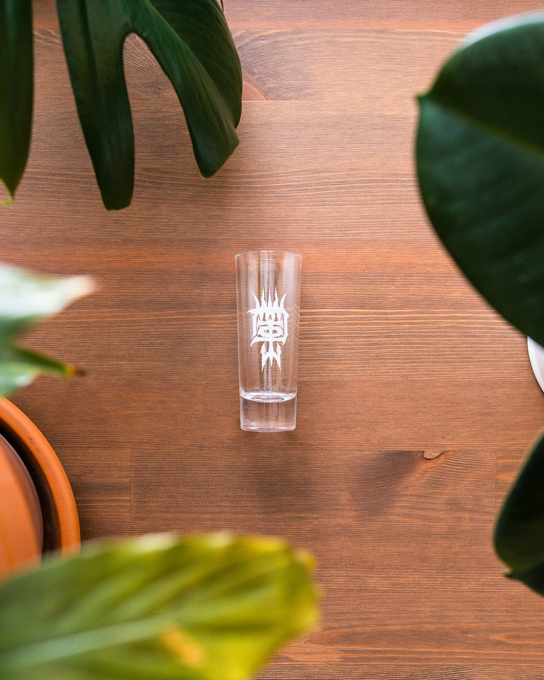 Shot glass