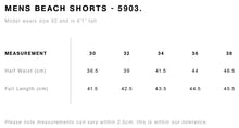 Load image into Gallery viewer, Glyph Beach Shorts - Pale Pink
